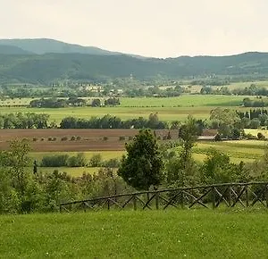 https://tenuta-casteani-wine-resort.it-tuscanyhotel.com